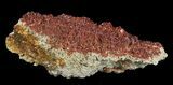 Plate, Sparkling, Ruby Red Vanadinite Crystals #59973-2